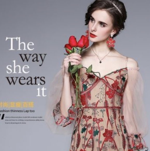 Detailed Embroidered Tulle Dress - Picture 3 of 4